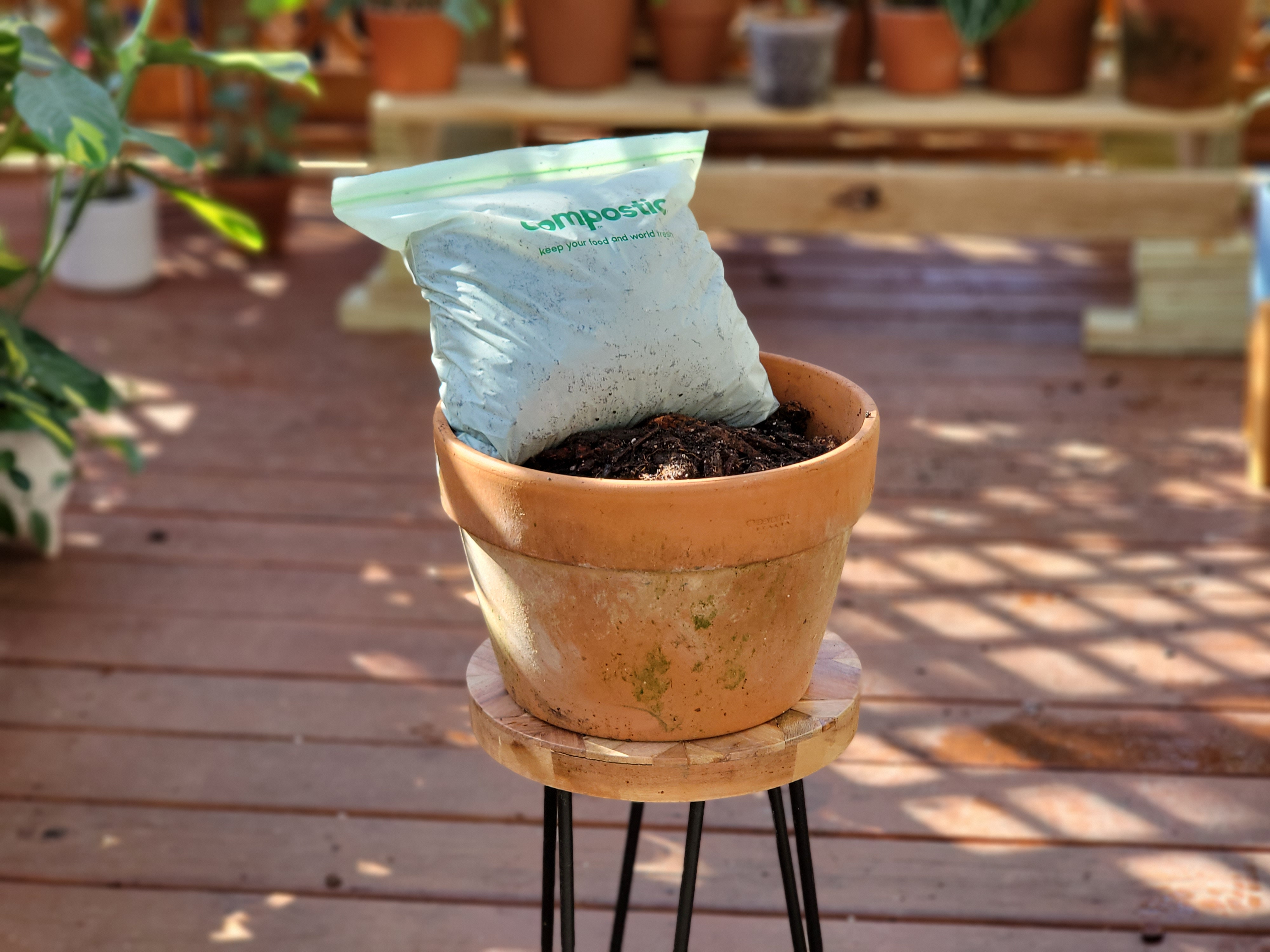 What's in your pot matters more than what's in your fertilizer bottle